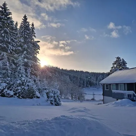Huset Alcamaro - A Place To Work & Breathe