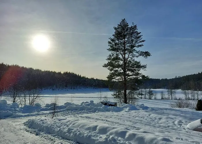 Huset Alcamaro - A Place To Work & Breathe