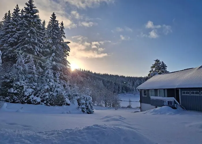 Huset Alcamaro - A Place To Work & Breathe